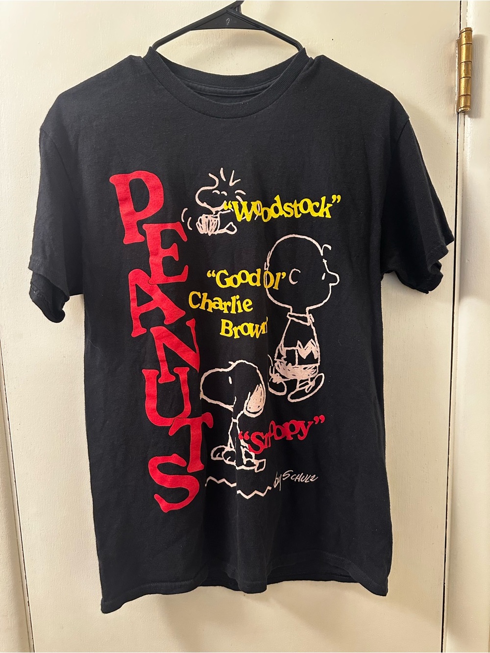 Peanuts Charlie Brown Snoopy Woodstock Shirt Mens M Double Sided